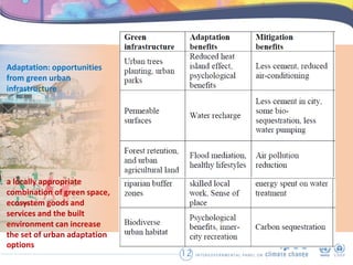 Resilient cities and 1.5°C climate change | PPTX