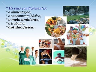 * Os seus condicionantes: * a alimentação; * o saneamento básico; *  o meio ambiente ; * o trabalho; *  aptidão física ;   
