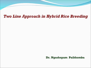 Two line approach in hybrid rice breeding | PPT
