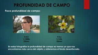 PROFUNDIDAD DE CAMPO
Poca profundidad de campo:
F/4.5
1/1000s
22mm
F/5.6
1/125s
55mm
En estas fotografías la profundidad de campo es menos ya que nos
encontramos más cerca del objeto y obtenemos el fondo desenfocado.
 