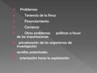      Problemas:
        Tenencia de la finca
        Financiamiento
        Comercio
        Otros problemas        políticas a favor
    de las importaciones
     privatización de los organismos de
    investigación
   semillas patentadas
    orientación hacia la explotación
 