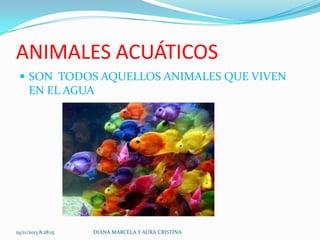 ANIMALES ACUÁTICOS
 SON TODOS AQUELLOS ANIMALES QUE VIVEN

EN EL AGUA

19/11/2013 8:28:15

DIANA MARCELA Y AURA CRISTINA

 