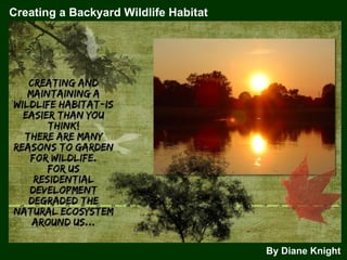 Creating a Backyard Wildlife Habitat By Diane Knight 