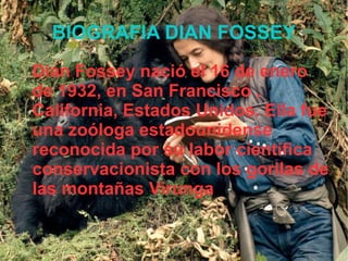 BIOGRAFIA DIAN FOSSEY
Dian Fossey nació el 16 de enero
de 1932, en San Francisco ,
California, Estados Unidos. Ella fue
una zoóloga estadounidense
reconocida por su labor científica
conservacionista con los gorilas de
las montañas Virunga.
 