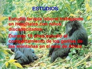 ESTUDIOS
Estudió terapia laboral trabajando
en hospitales con niños
discapacitados.
Durante 18 años estudió el
comportamiento de los gorilas de
las montañas en el este de África.
 