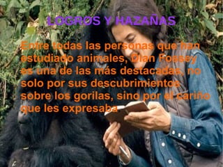 LOGROS Y HAZAÑAS
Entre todas las personas que han
estudiado animales, Dian Fossey
es una de las más destacadas, no
solo por sus descubrimientos
sobre los gorilas, sino por el cariño
que les expresaba.
 
