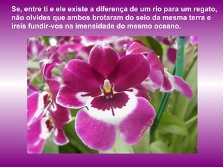 Se, entre ti e ele existe a diferença de um rio para um regato, não olvides que ambos brotaram do seio da mesma terra e ireis fundir-vos na imensidade do mesmo oceano.   