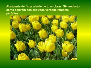 Abstem-te de fazer alarde de tuas obras. Sê modesto, como convém aos espíritos verdadeiramente perfeitos.   