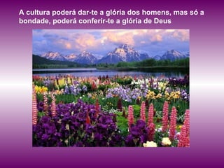 A cultura poderá dar-te a glória dos homens, mas só a bondade, poderá conferir-te a glória de Deus   