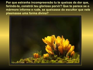 Por que estranha incompreensão tu te queixas da dor que, ferindo-te, constrói teu glorioso porvir? Que te parece se o mármore informe e rude, se queixasse do escultor que nele plasmasse uma forma divina? 