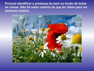 Procura identificar a presença do bem no fundo de todas as coisas. Não há maior miséria do que ter olhos para ver somente miséria. 