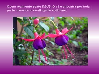 Quem realmente sente  DEUS , O vê e encontra por toda parte, mesmo no contingente cotidiano.  