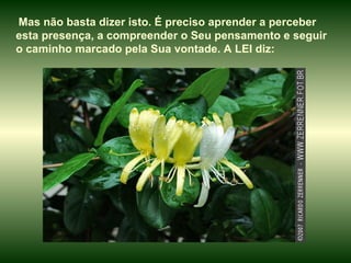 Mas não basta dizer isto. É preciso aprender a perceber esta presença, a compreender o Seu pensamento e seguir o caminho marcado pela Sua vontade. A LEI diz: 