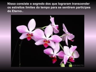 Nisso consiste o segredo dos que lograram transcender os estreitos limites do tempo para se sentirem partícipes do Eterno.. 