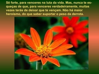 Sê forte, para venceres na luta da vida. Mas, nunca te es-queças de que, para venceres verdadeiramente, muitas vezes terás de deixar que te vençam. Não há maior heroísmo, do que saber suportar o peso da derrota. 