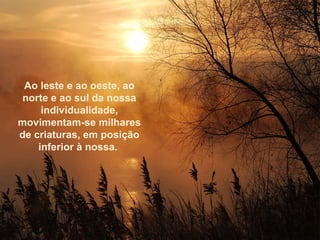 Ao leste e ao oeste, ao norte e ao sul da nossa individualidade, movimentam-se milhares de criaturas, em posição inferior à nossa.  Ao leste e ao oeste, ao norte e ao sul da nossa individualidade, movimentam-se milhares de criaturas, em posição inferior à nossa.  