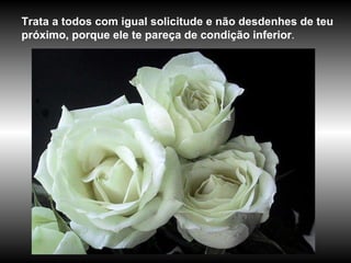 Trata a todos com igual solicitude e não desdenhes de teu próximo, porque ele te pareça de condição inferior . 