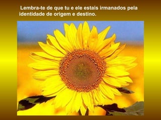 Lembra-te de que tu e ele estais irmanados pela identidade de origem e destino.  