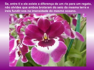 Se, entre ti e ele existe a diferença de um rio para um regato, não olvides que ambos brotaram do seio da mesma terra e ireis fundir-vos na imensidade do mesmo oceano.   