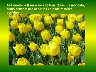 Abstem-te de fazer alarde de tuas obras. Sê modesto, como convém aos espíritos verdadeiramente perfeitos.   