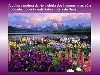 A cultura poderá dar-te a glória dos homens, mas só a bondade, poderá conferir-te a glória de Deus   