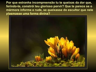 Por que estranha incompreensão tu te queixas da dor que, ferindo-te, constrói teu glorioso porvir? Que te parece se o mármore informe e rude, se queixasse do escultor que nele plasmasse uma forma divina? 