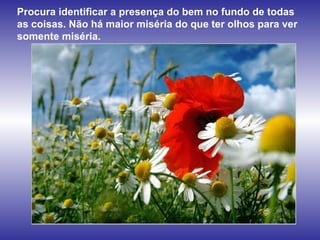 Procura identificar a presença do bem no fundo de todas as coisas. Não há maior miséria do que ter olhos para ver somente miséria. 