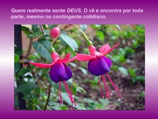 Quem realmente sente  DEUS , O vê e encontra por toda parte, mesmo no contingente cotidiano.  