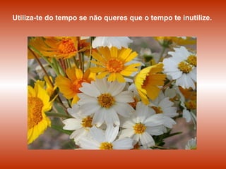 Utiliza-te do tempo se não queres que o tempo te inutilize.  