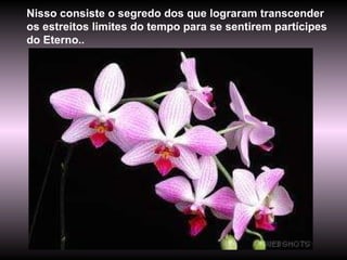 Nisso consiste o segredo dos que lograram transcender os estreitos limites do tempo para se sentirem partícipes do Eterno.. 