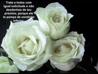 Trata a todos com igual solicitude e não desdenhes de teu próximo, porque ele te pareça de condição inferior . 