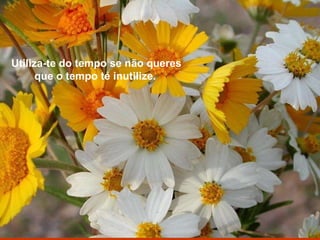 Utiliza-te do tempo se não queres que o tempo te inutilize.   