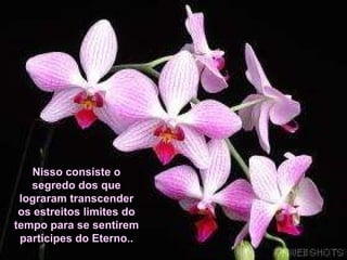 Nisso consiste o segredo dos que lograram transcender os estreitos limites do tempo para se sentirem partícipes do Eterno.. 