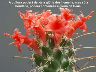 A cultura poderá dar-te a glória dos homens, mas só a bondade, poderá conferir-te a glória de Deus   A cultura poderá dar-te a glória dos homens, mas só a bondade, poderá conferir-te a glória de Deus   