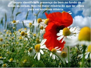 Procura identificar a presença do bem no fundo de todas as coisas. Não há maior miséria do que ter olhos para ver somente miséria. 