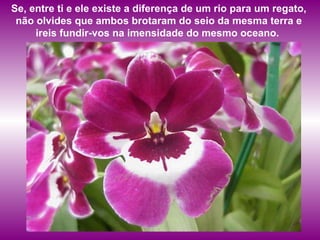 Se, entre ti e ele existe a diferença de um rio para um regato, não olvides que ambos brotaram do seio da mesma terra e ireis fundir-vos na imensidade do mesmo oceano.   