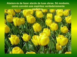 Abstem-te de fazer alarde de tuas obras. Sê modesto, como convém aos espíritos verdadeiramente perfeitos.   