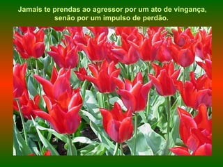 Jamais te prendas ao agressor por um ato de vingança, senão por um impulso de perdão.   