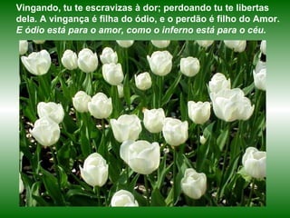 Vingando, tu te escravizas à dor; perdoando tu te libertas dela. A vingança é filha do ódio, e o perdão é filho do Amor.   E ódio está para o amor, como o inferno está para o céu. 