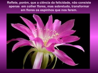 Reflete, porém, que a ciência da felicidade, não consiste apenas  em colher flores, mas sobretudo, transformar em flores os espinhos que nos ferem. 