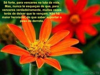 Sê forte, para venceres na luta da vida. Mas, nunca te esqueças de que, para venceres verdadeiramente, muitas vezes terás de deixar que te vençam. Não há maior heroísmo, do que saber suportar o peso da derrota. 