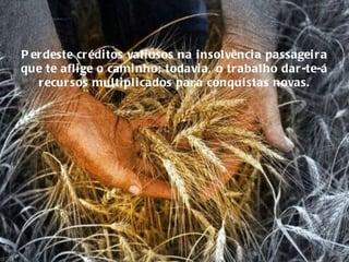 Perdeste créditos valiosos na insolvência passageira que te aflige o caminho; todavia, o trabalho dar-te-á recursos multiplicados para conquistas novas. 