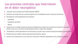 Los procesos centrales que intervienen 
en el dolor neuropático 
 Activación de los receptores de N-metil-D-aspartato (NMDA). 
 Fenómeno de recarga (wind up): aumento progresivo de la excitabilidad durante el transcurso del estímulo. 
 Sensibilización central dependiente de la traducción: 
− hiperalgesia 
− hiperalgesia secundaria 
− alodinia 
 Liberación por la microglia activada de citocinas proinflamatorias y factores de crecimiento que activan aún más estas 
células, lo que crea un circuito de retroalimentación positiva y origina dolor patológico. 
 Sensibilización central dependiente de la transcripción que puede inducir cambios fenotípicos/morfológicos permanentes. 
 Pérdida del control inhibidor medular (ácido gammaaminobutírico, glicina). 
 Aumento de la colecistocinina, lo que reduce los mecanismos inhibidores dependientes de los receptores opioideos 
 