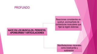 NACE EN LOS MUSCULOS, PERIOSTIO, 
APONEURISIS Y ARTICULACIONES 
Reacciones consistentes en 
quietud, acompañada de 
contracturas musculares que 
fijan la región dolorosa 
Manifestaciones viscerales 
como bradicardia y 
sudoración. 
PROFUNDO 
 