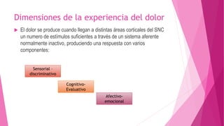 Dimensiones de la experiencia del dolor 
 El dolor se produce cuando llegan a distintas áreas corticales del SNC 
un numero de estímulos suficientes a través de un sistema aferente 
normalmente inactivo, produciendo una respuesta con varios 
componentes: 
Sensorial – 
discriminativo 
Cognitivo- 
Evaluativo 
Afectivo-emocional 
 