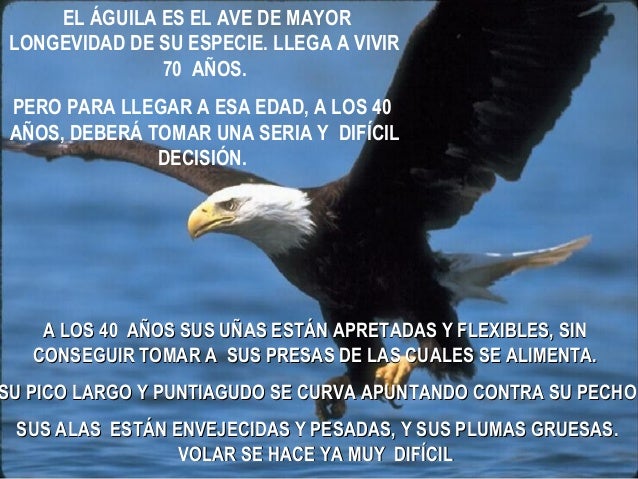El preparado para el estrechamiento de los tiempos sobre la persona