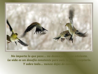 No importa lo que pase... no desmayes, sigue adelante.
La vida es un desafío constante pero vale la pena aceptarlo.
           Y sobre todo... nunca dejes de cantar.
 
