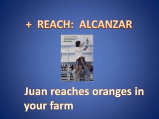 + REACH: ALCANZARJuan reaches oranges in your farm