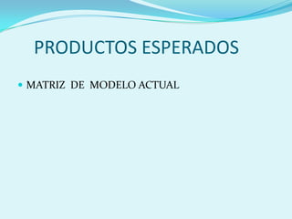 PRODUCTOS ESPERADOSMATRIZ  DE  MODELO ACTUAL