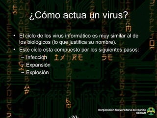 -30- ¿Cómo actua un virus? El ciclo de los virus informático es muy similar al de los biológicos (lo que justifica su nombre).  Este ciclo esta compuesto por los siguientes pasos: Infección Expansión Explosión 
